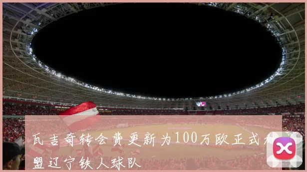 瓦吉奇转会费更新为100万欧正式加盟辽宁铁人球队