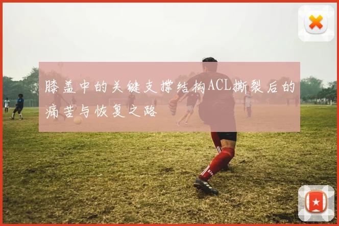 膝盖中的关键支撑结构ACL撕裂后的痛苦与恢复之路